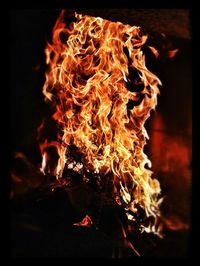 Close-up of bonfire at night