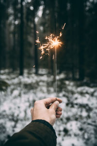Person hand holding firework display