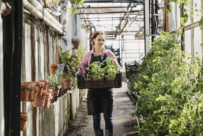 Female gardener carrying potted plants in greenhouse