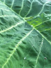 Full frame shot of water