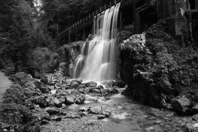 Scenic view of waterfall in forest