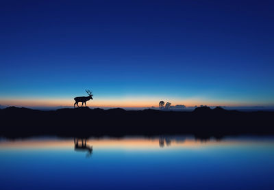 Reflection of silhouette deer in lake against clear blue sky at dusk