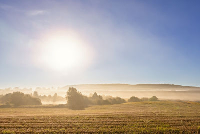 landscape