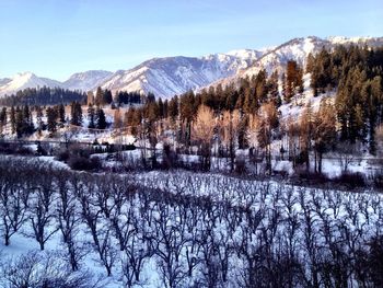 Scenic view of snowcapped mountains