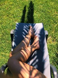 High angle view of person hand on grassy field