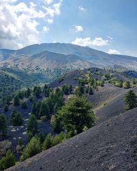 Scenic view of landscape against sky