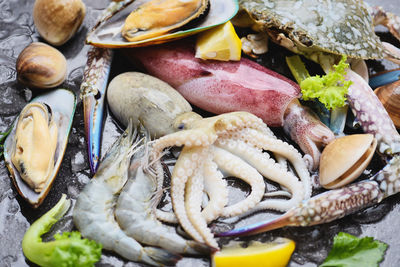 Close-up of fish in plate