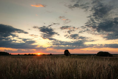 Scenic view of field against sky during sunset