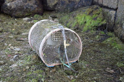 Close-up of fishing net on land