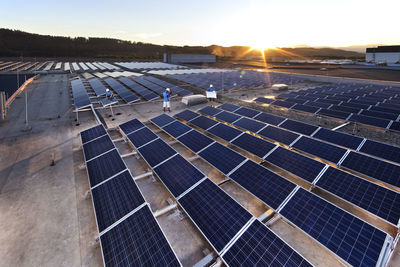 Workers mounting solar plant