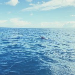 View of sea against sky