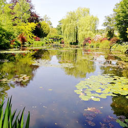 Scenic view of lake