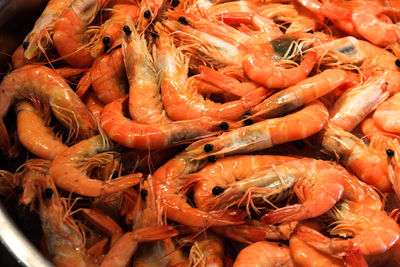 High angle view of prawns for sale at market