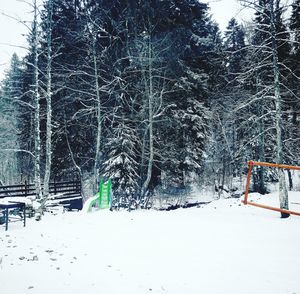 People on snow covered tree against sky