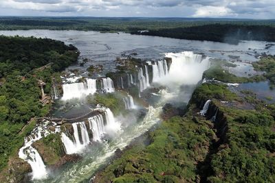 View of waterfall in forest