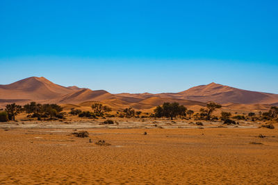 Landscape in namibia
