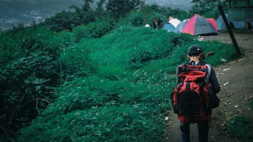 Rear view of man walking in forest