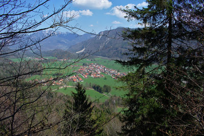 High angle view of trees and buildings against sky