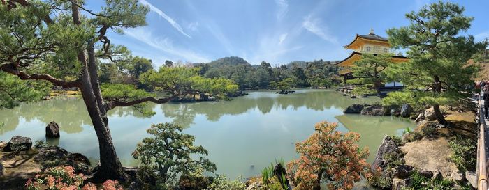 Panoramic view of trees by lake against sky