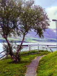 View of trees on landscape against sky