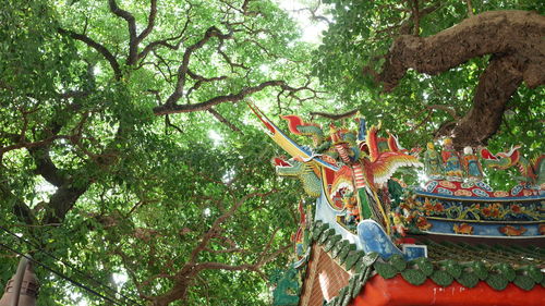 Low angle view of trees