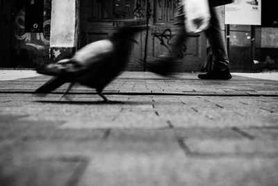 Low section of people walking on street