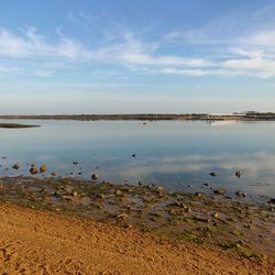 Scenic view of lake against sky in ria formosa, pt