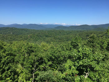 Scenic view of field against clear sky