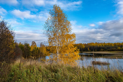 Scenic view of lake against sky