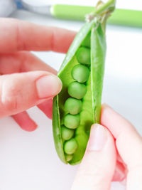 Close-up of hand holding green chili