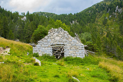 House amidst trees and plants on field against sky