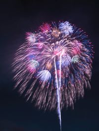 Low angle view of firework display at night