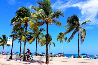 People by palm tree on beach against blue sky