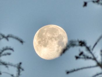 Low angle view of moon against sky