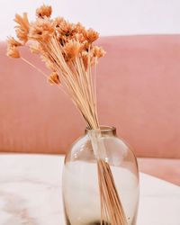 Close-up of fresh white flowers in glass vase on table