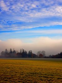 Scenic view of agricultural field against sky