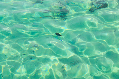 High angle view of swimming pool in sea