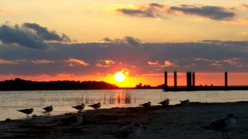 Scenic view of sea during sunset