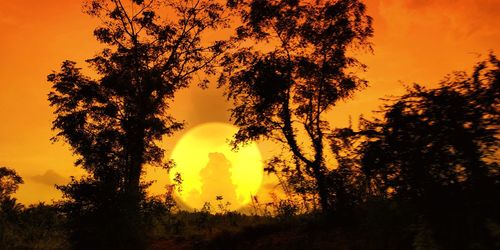 Silhouette trees against sky during sunset