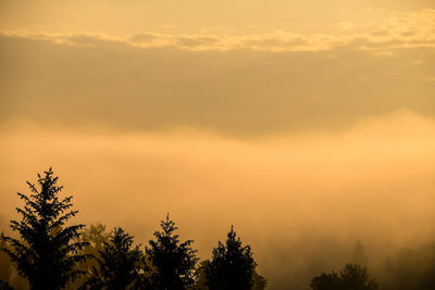 Low angle view of silhouette trees against sky during sunset