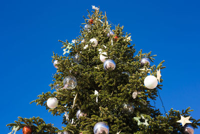 Low angle view of christmas tree against blue sky