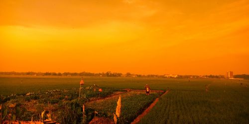Scenic view of field against orange sky