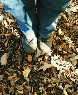 Low section of man standing on autumn leaves