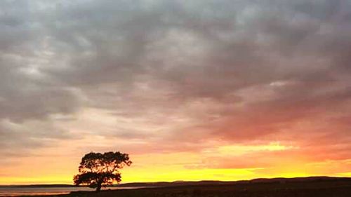 Dramatic sky over landscape