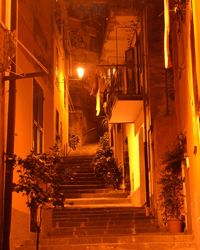 Steps amidst illuminated alley at night