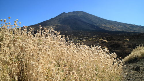 Scenic view of mountains against clear sky