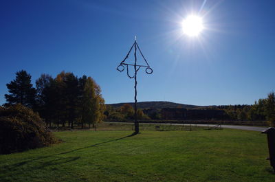 Trees on field against bright sun