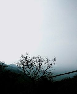 Low angle view of bare tree against clear sky