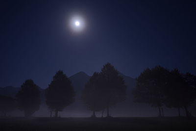 Silhouette trees against sky at night