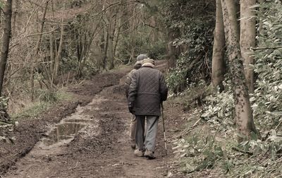 Rear view of people walking in forest